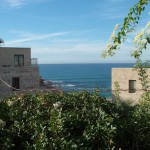 Jaffa View